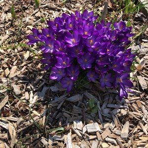 Meet your Posher, Becky